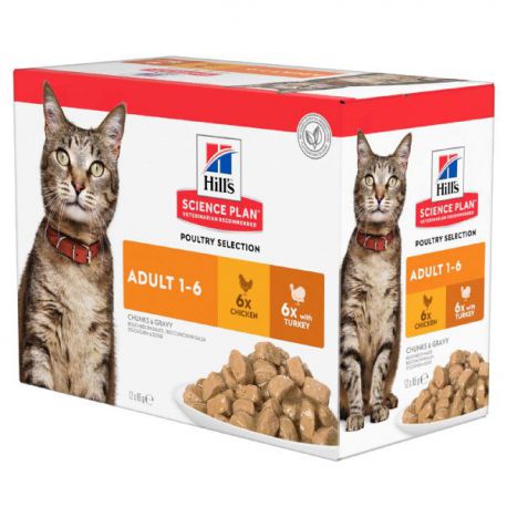 Hill S Science Plan Chat Adulte Multipack Poultry Selection Selection De Bouchees En Sauce Pour Chat Adulte Direct Vet